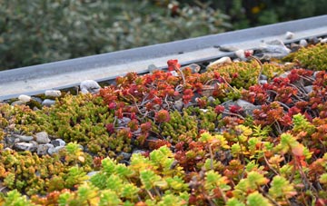 the cost of Broadbridge green roof installation