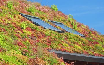 Broadbridge living roof systems