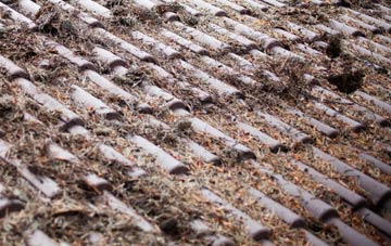 Broadbridge roof cleaning companies