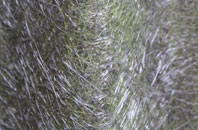 Broadbridge fibreglass roof work